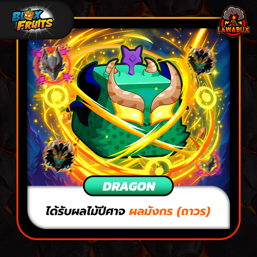 Lawabux.com - ผล Dragon-BloxFruit