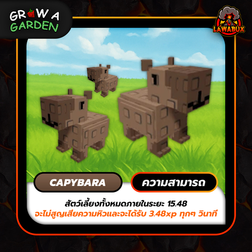 Capybara Robux Capybara - Lawabux บริการเติม Robux 24 ชั่วโมง